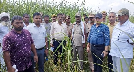 Kheri: Tiger killed and ate deaf young man in Punarbhu grunt