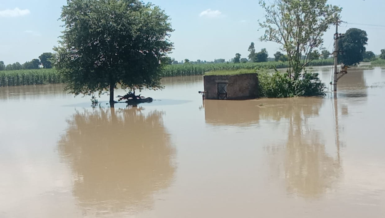 Crops of 12 villages adjacent to Yamuna submerged