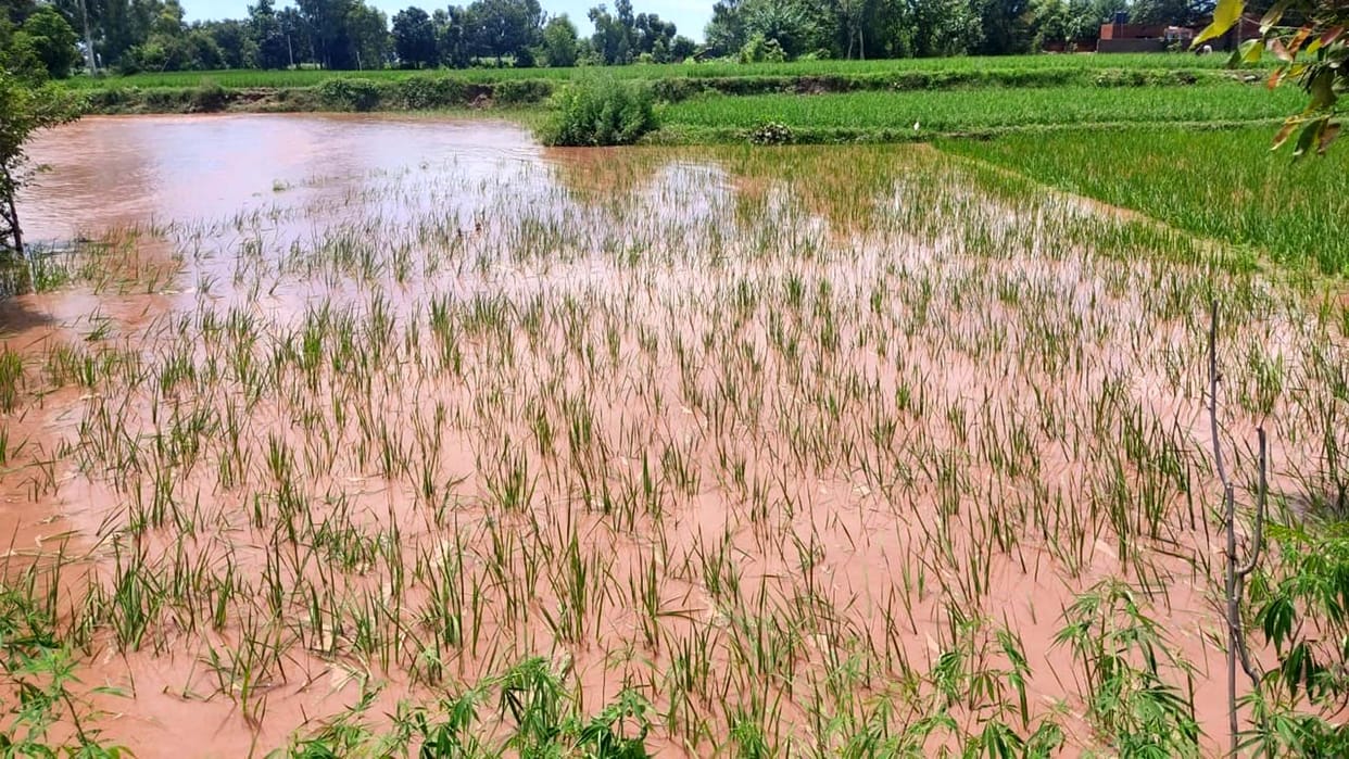 Water receded in Ujj, but the fear of flood still persists