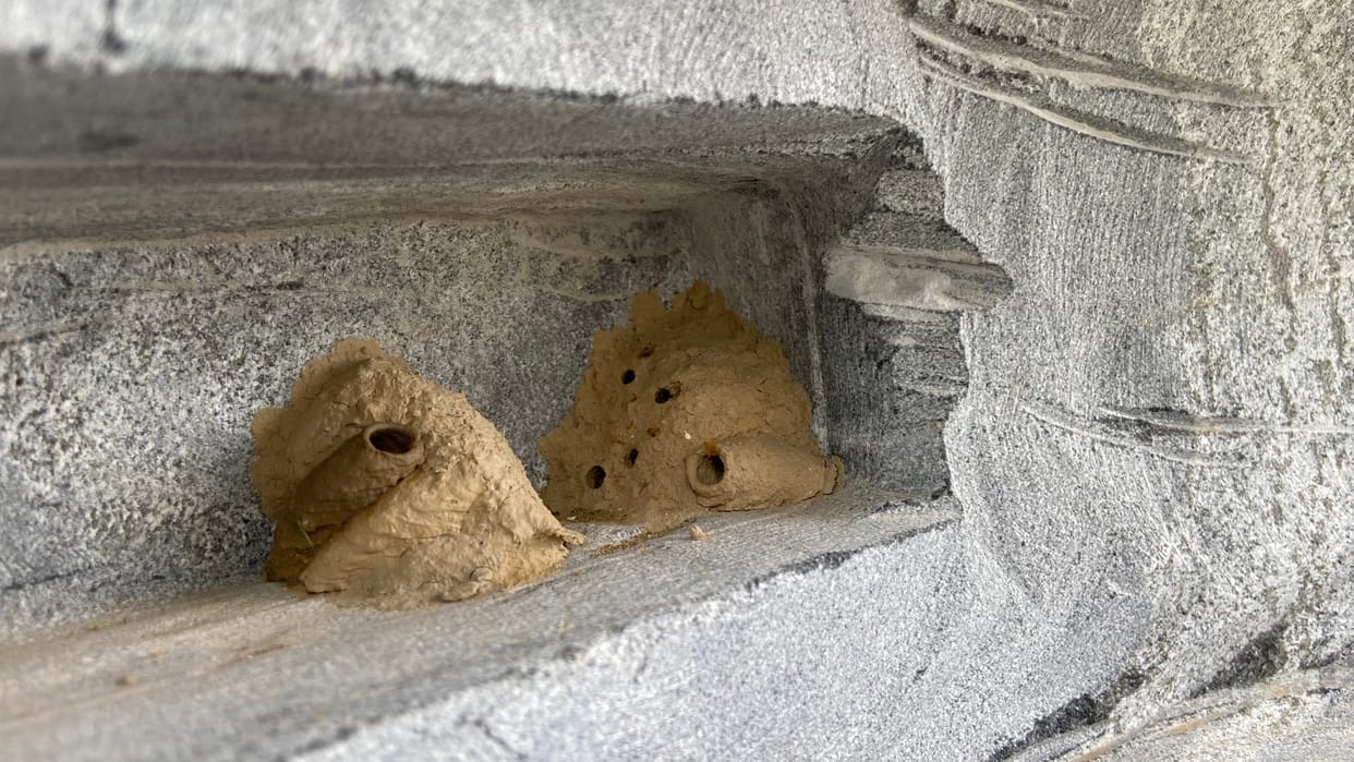 21 contemporary sculptures not installed even after eight months, Kurukshetra