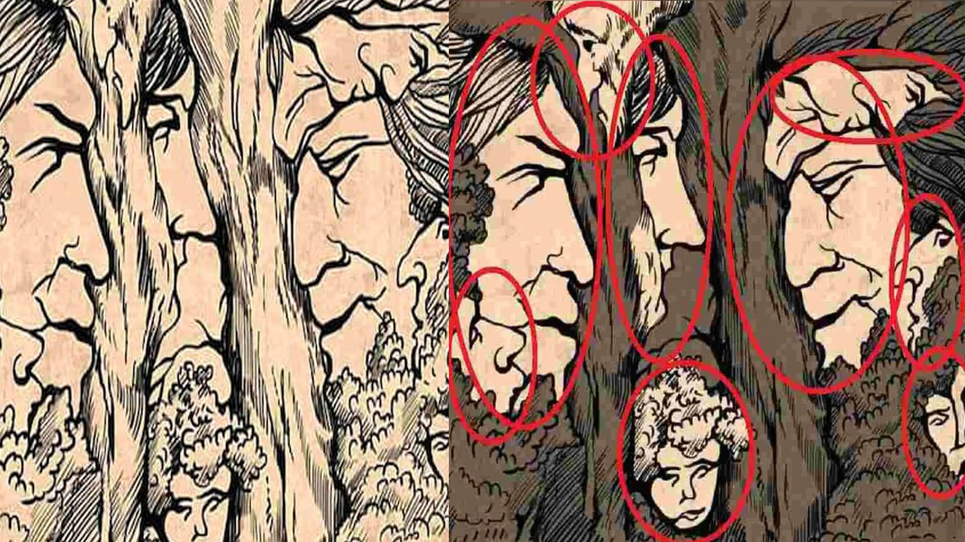 Optical Illusion Pictures With Hidden Images Find Out 9 Faces Between Trees and Twigs Check Brain IQ