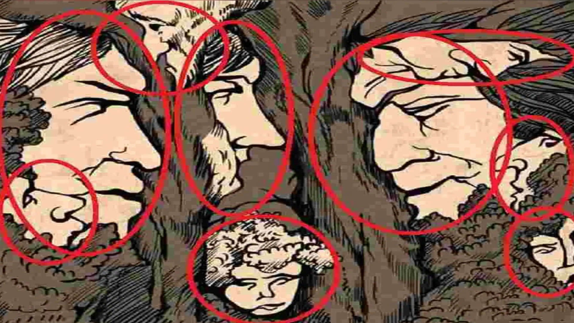 Optical Illusion Pictures With Hidden Images Find Out 9 Faces Between Trees and Twigs Check Brain IQ