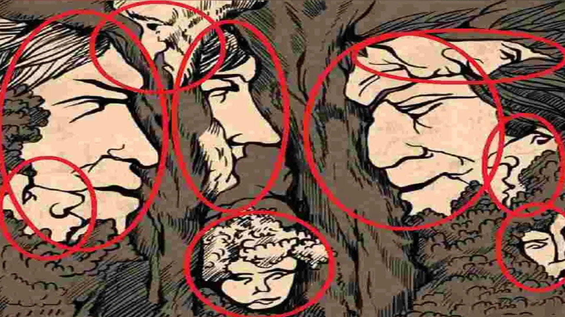 Optical Illusion Pictures With Hidden Images Find Out 9 Faces Between Trees and Twigs Check Brain IQ