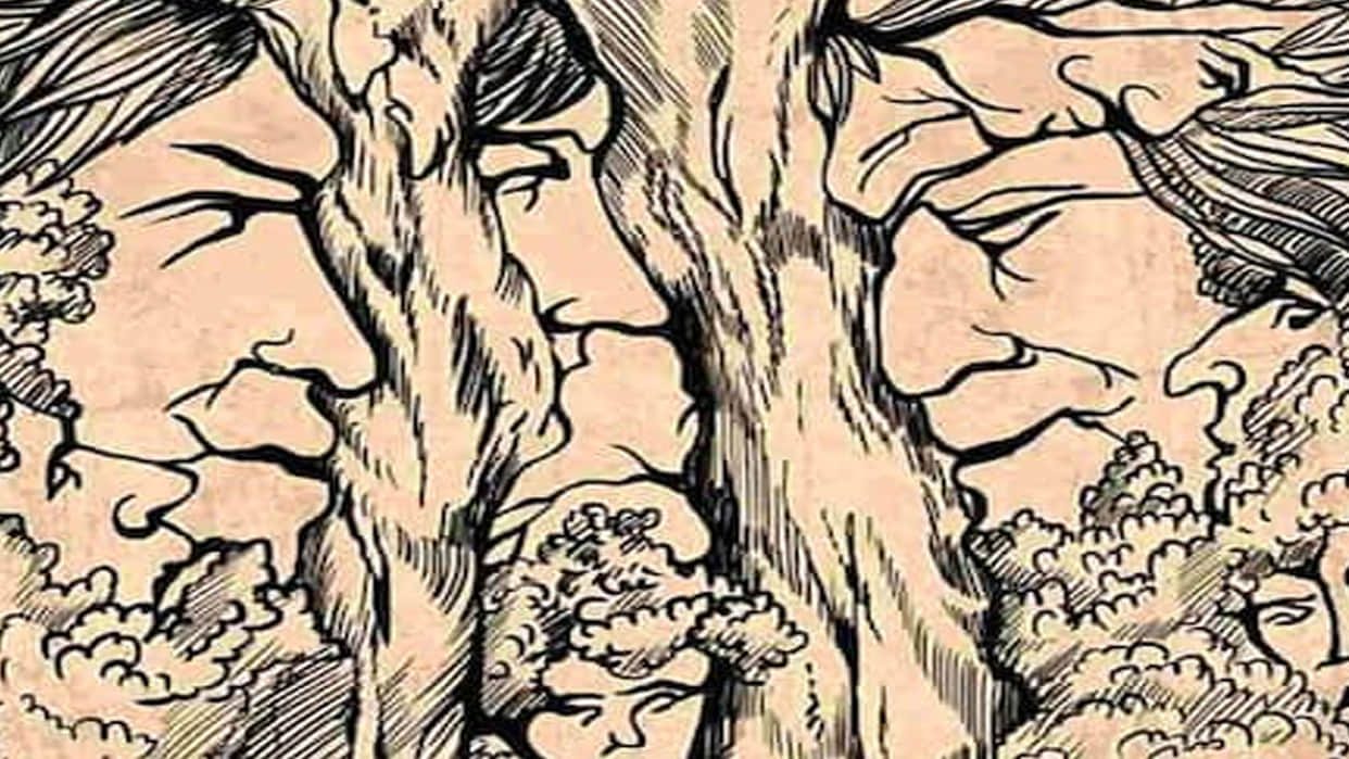 Optical Illusion Pictures With Hidden Images Find Out 9 Faces Between Trees and Twigs Check Brain IQ