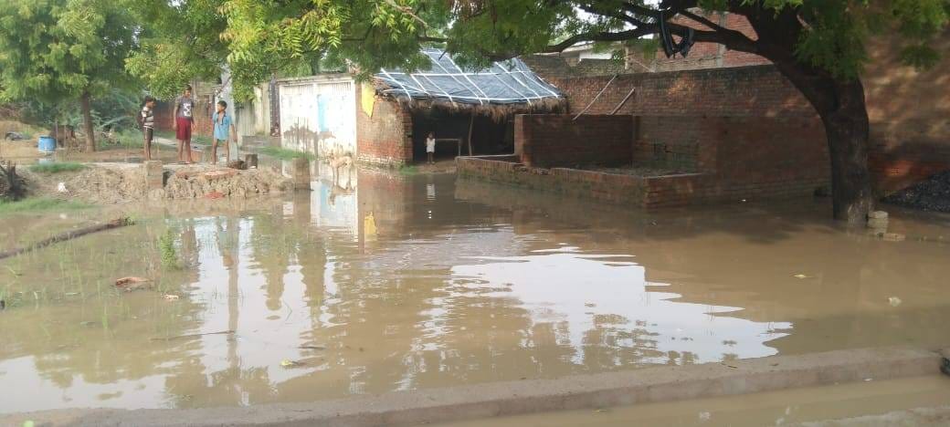 Severe waterlogging in Pratappur, people are getting sick