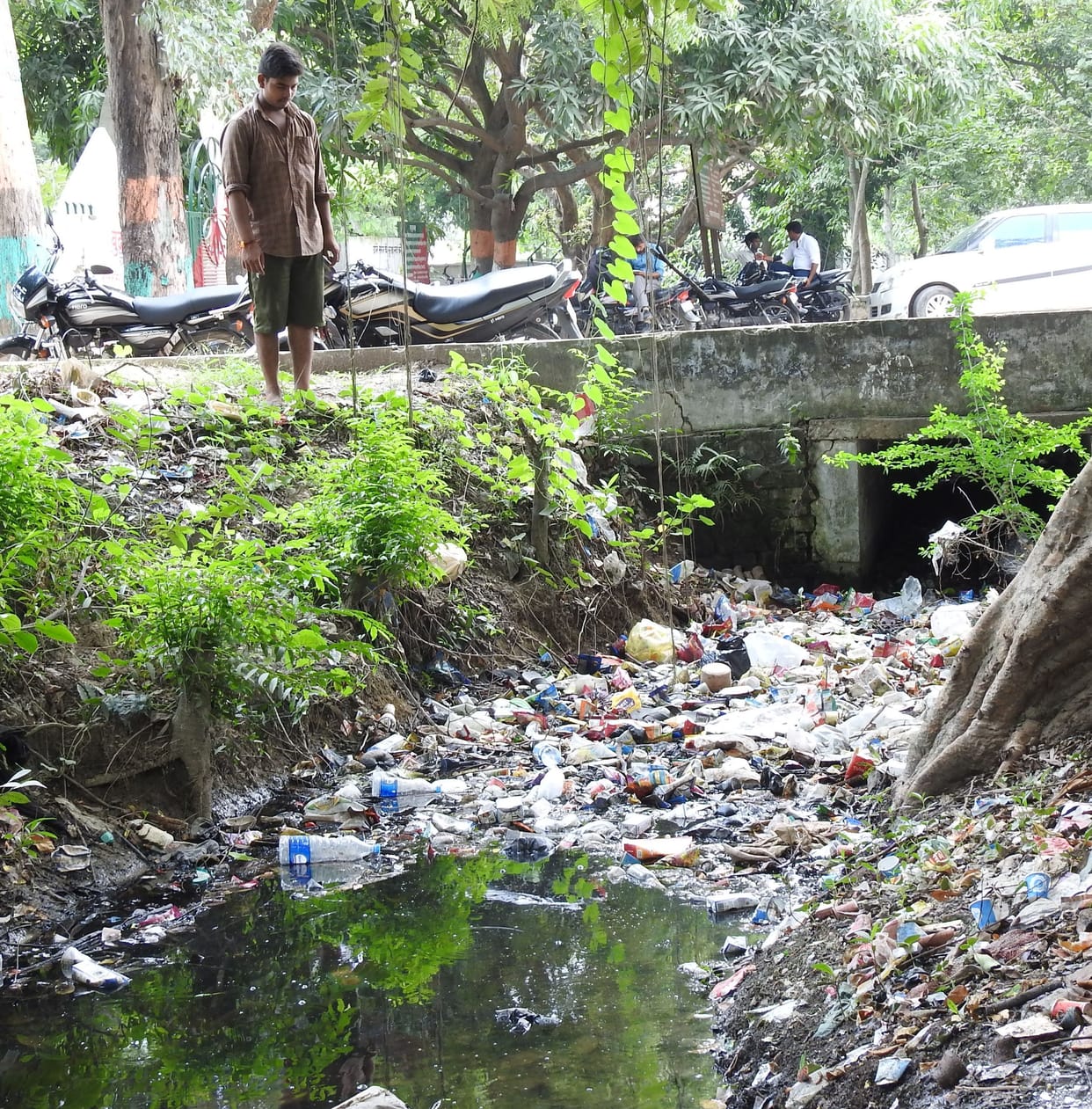 filth in drain, cleaning not done