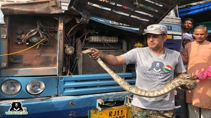 Wildlife SOS team rescues six feet long python stuck in truck bonnet in Agra
