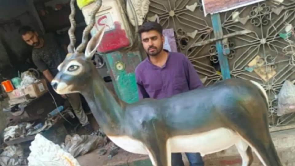 Bishnoi Community to build memorial honouring blackbuck killed by Salman Khan
