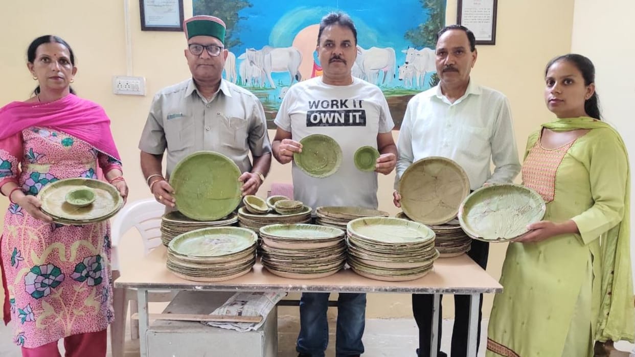himachal news: eco friendly plates launched in joginder nagar mandi himachal pradesh
