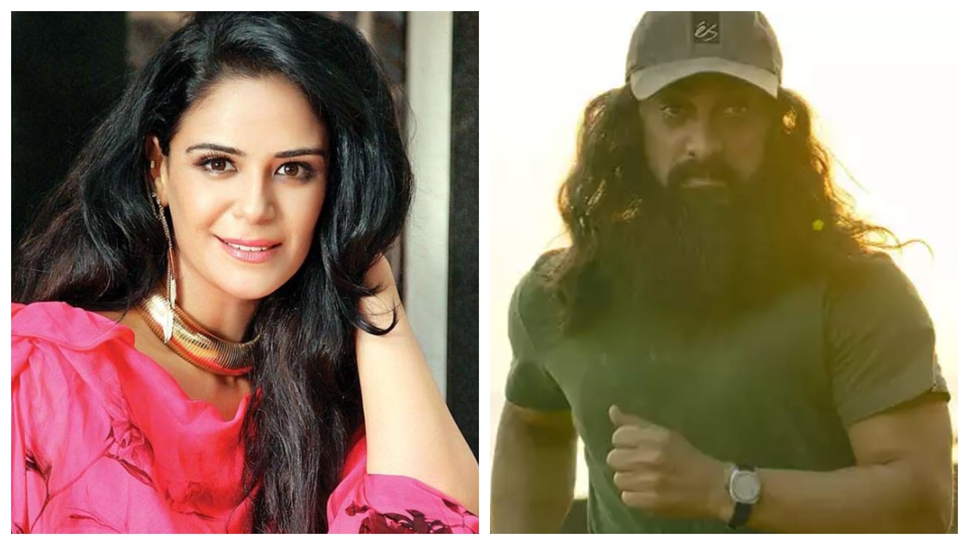 mona singh refused to classify aamir khan Starrer laal singh chaddha as a hit or flop stands