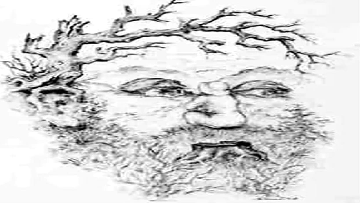 Optical Illusion Images Find Out Hidden Girl from Picture Check Your Brain IQ