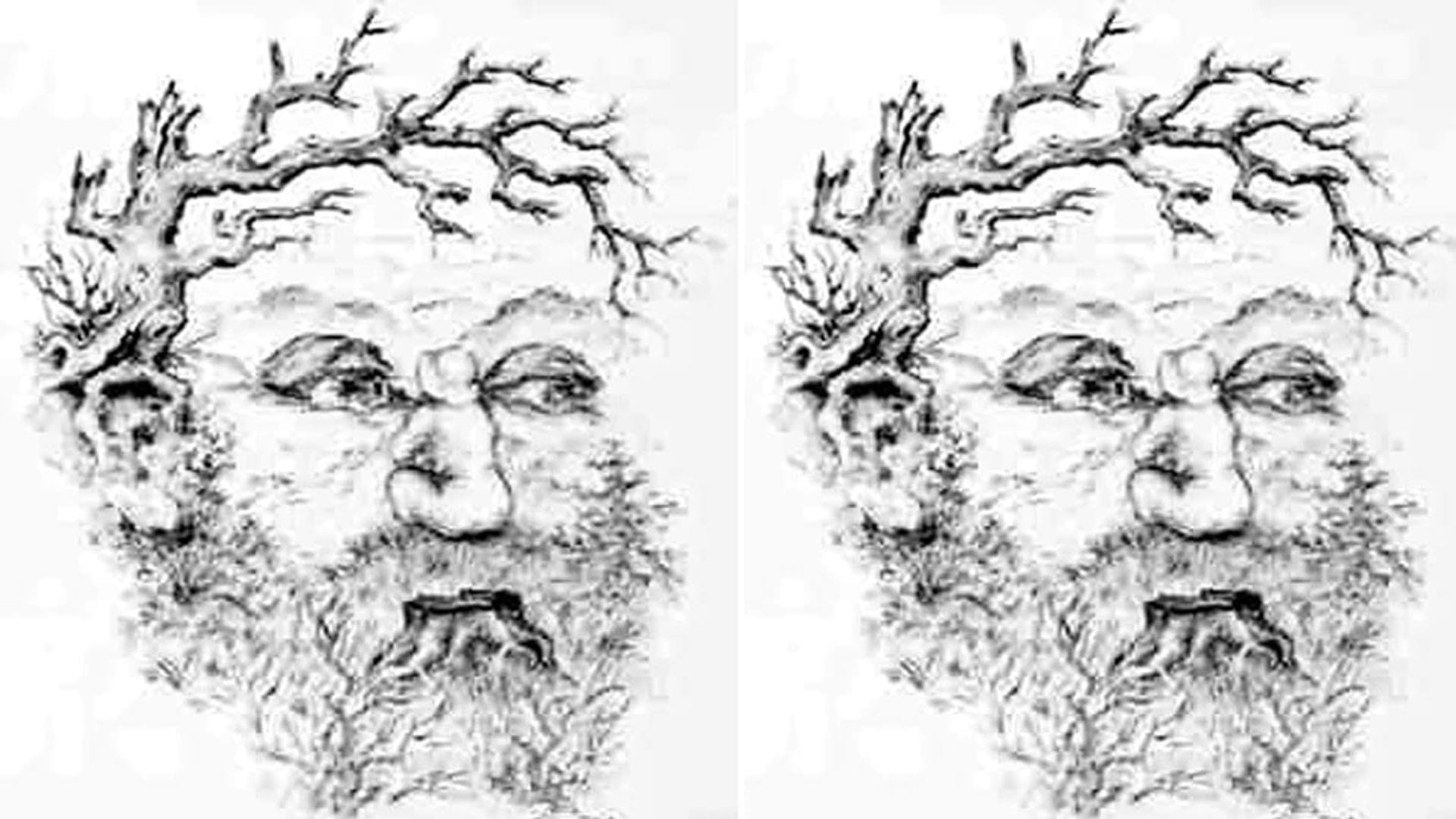 Optical Illusion Images Find Out Hidden Girl from Picture Check Your Brain IQ