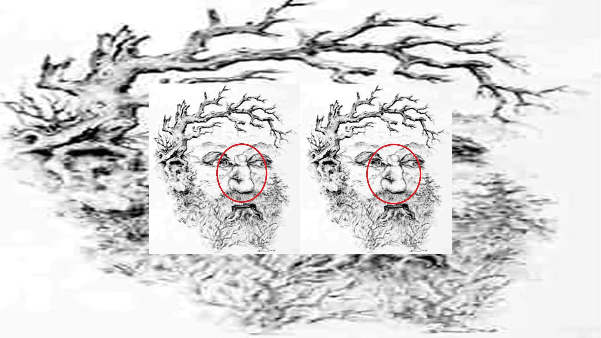 Optical Illusion Images Find Out Hidden Girl from Picture Check Your Brain IQ