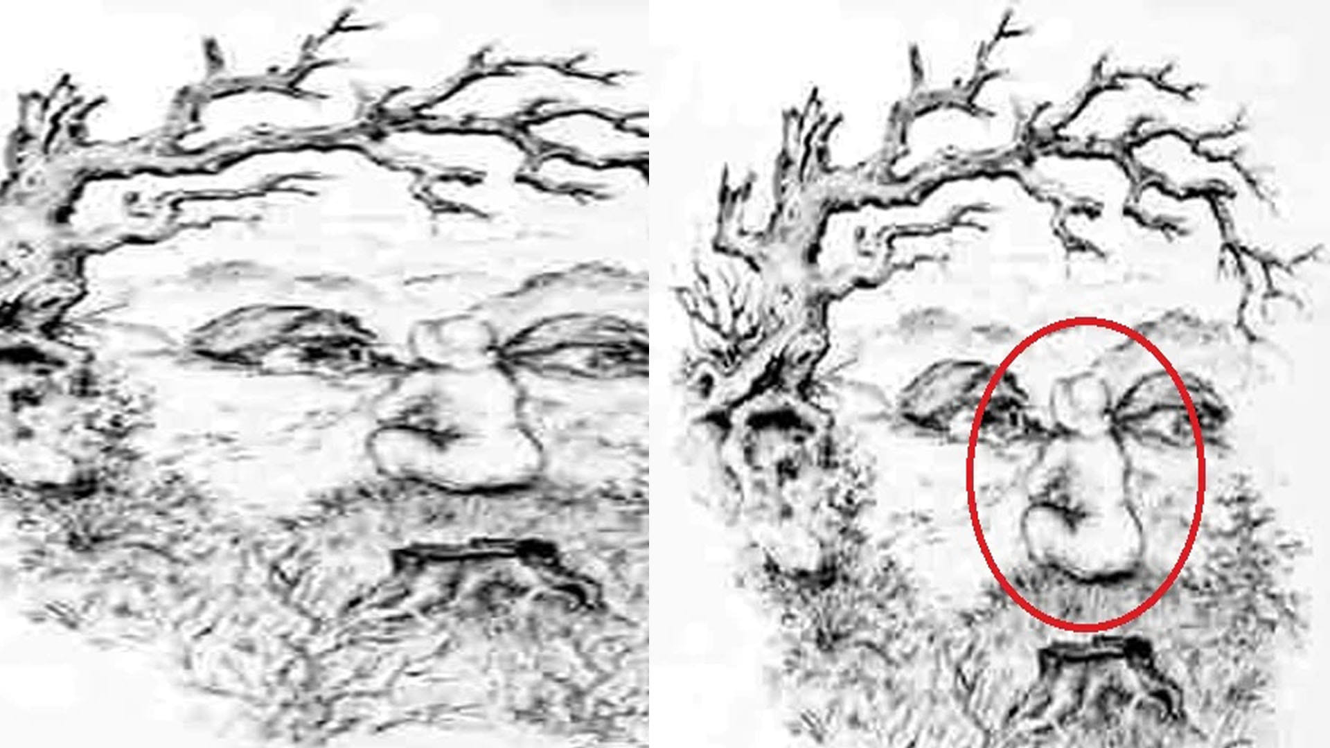 Optical Illusion Images Find Out Hidden Girl from Picture Check Your Brain IQ