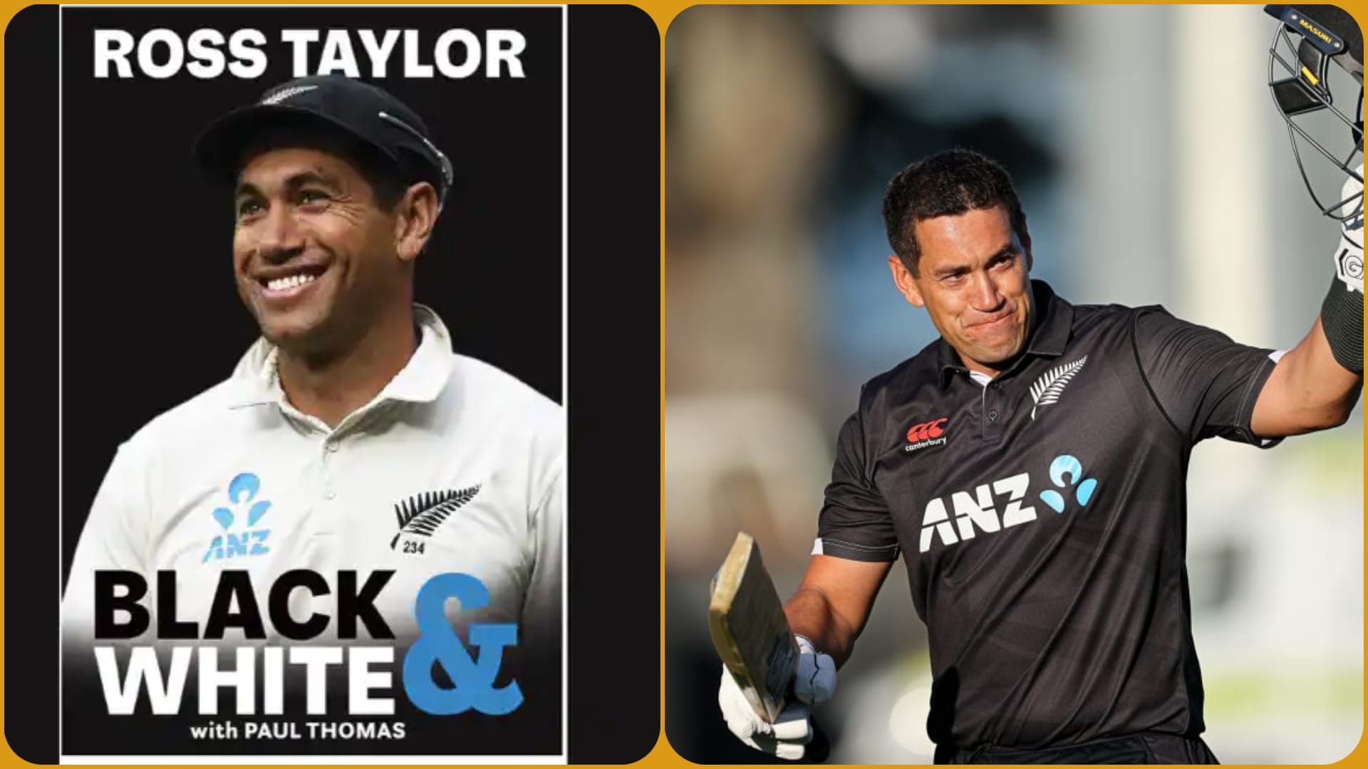 Ross Taylor says There Are Almost 4000 Tigers In The Wild, But There's Only One Rahul Dravid