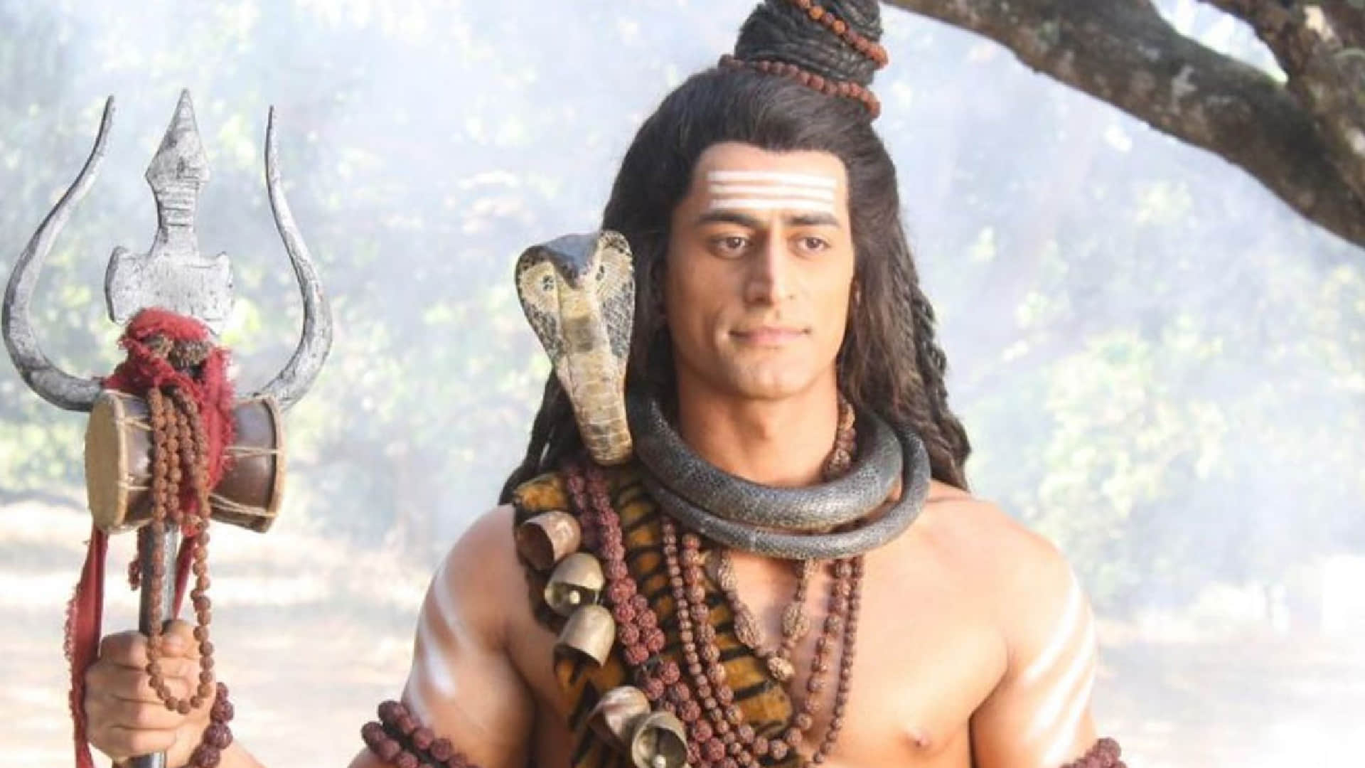 Mohit Raina Birthday Actor got recognition as Mahadev of TV, Priyanka Chopra family wanted her to marry him