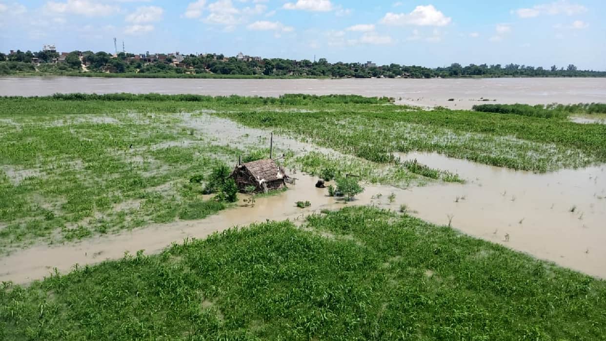 Farmers in tension: Yamuna flowing above danger mark, crops submerged, crisis over many villages