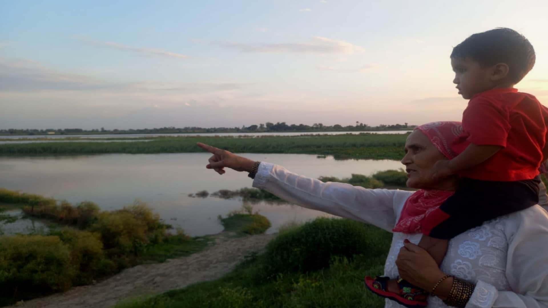 Farmers in tension: Yamuna flowing above danger mark, crops submerged, crisis over many villages