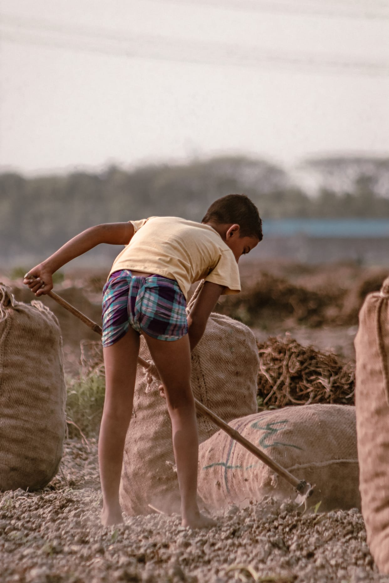 UP News: One month campaign started for prevention of human trafficking and child labor
