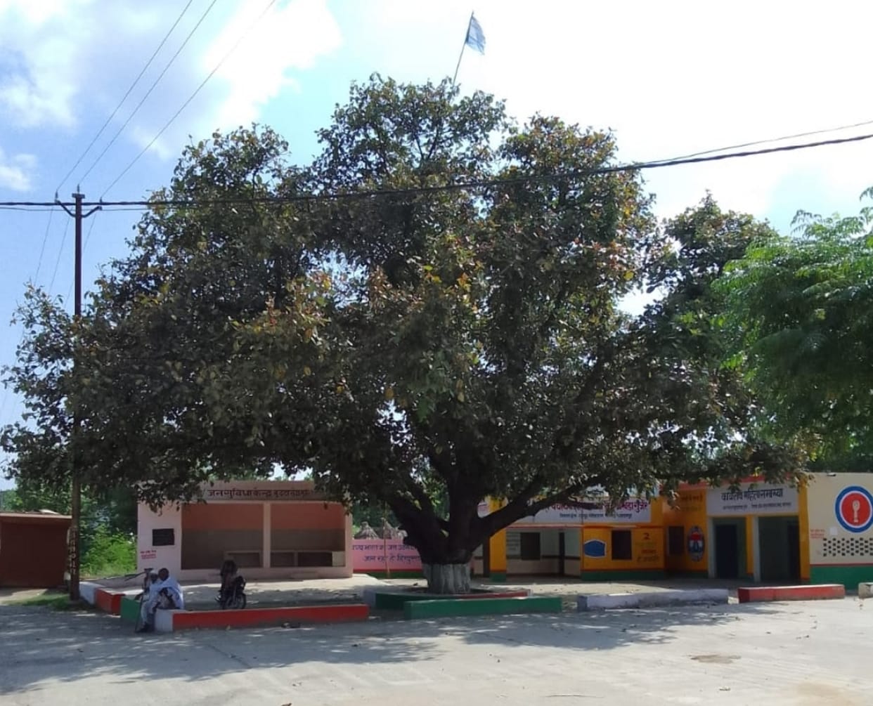 Burdakheda Gurjar's banyan has seen 75 years of independence