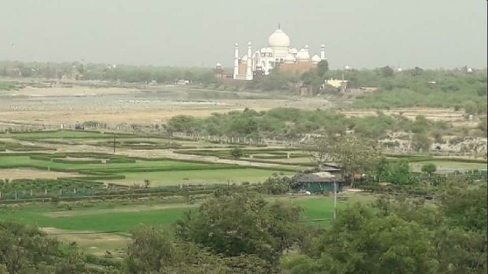 288 trees stand in the way of rubber dam project in Agra