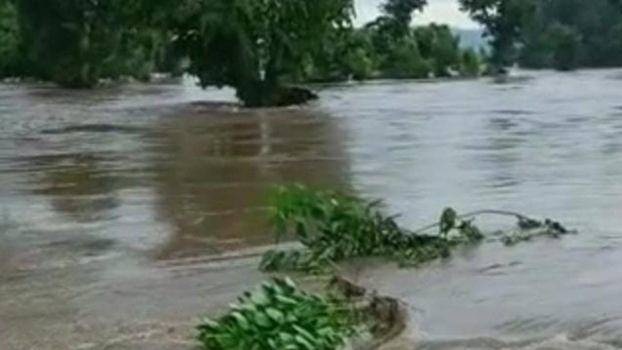 Damage to farmers and two houses also collapsed due to rain in Chhindwara