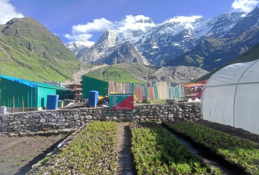 kedarnath dham yatra 2022: Huge crowd of Pilgrims broke record of 2019 this year