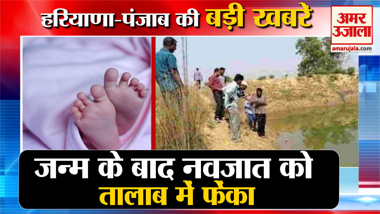 हरियाणा न्यूज