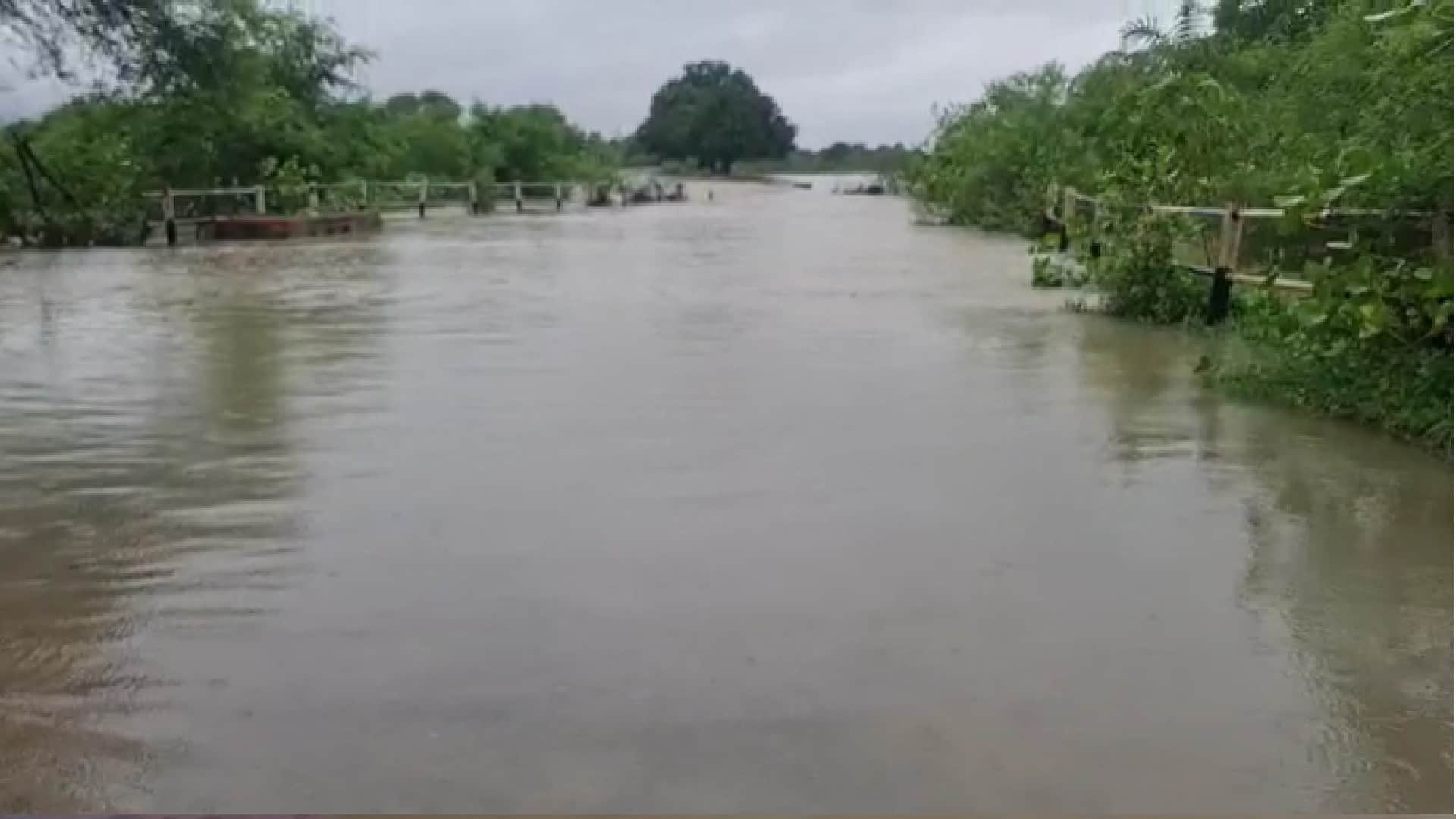 Due to rain in Madhya Pradesh, rivers and streams in spate including Narmada, Chambal, contact with many distr