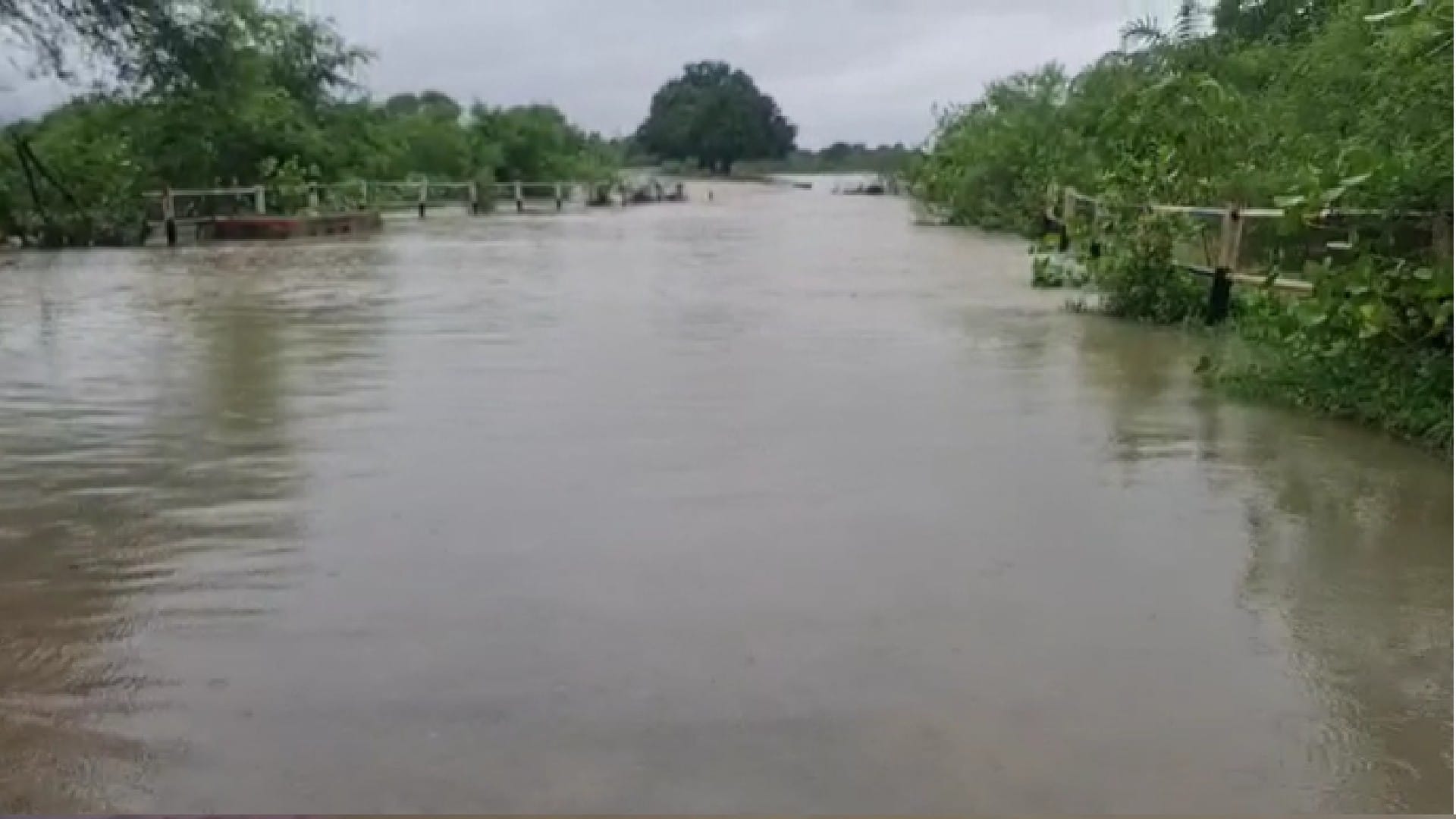 Due to rain in Madhya Pradesh, rivers and streams in spate including Narmada, Chambal, contact with many distr