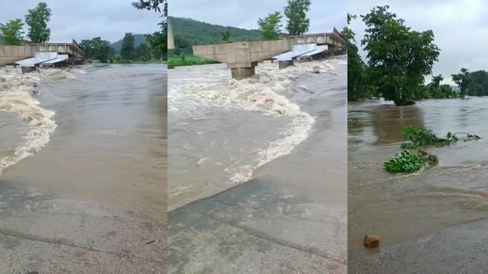 Due to rain in Madhya Pradesh, rivers and streams in spate including Narmada, Chambal, contact with many distr