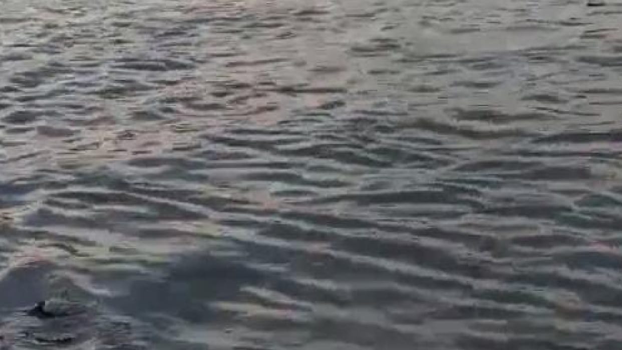 Two youths drowned while taking bath in Betwa river