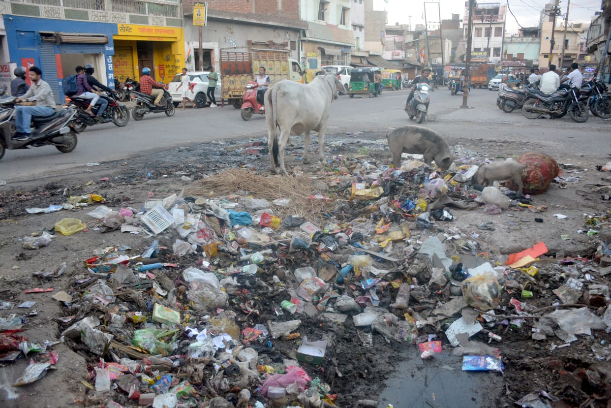 Aligarh: Now wake up the government, mosquitoes also started attacking