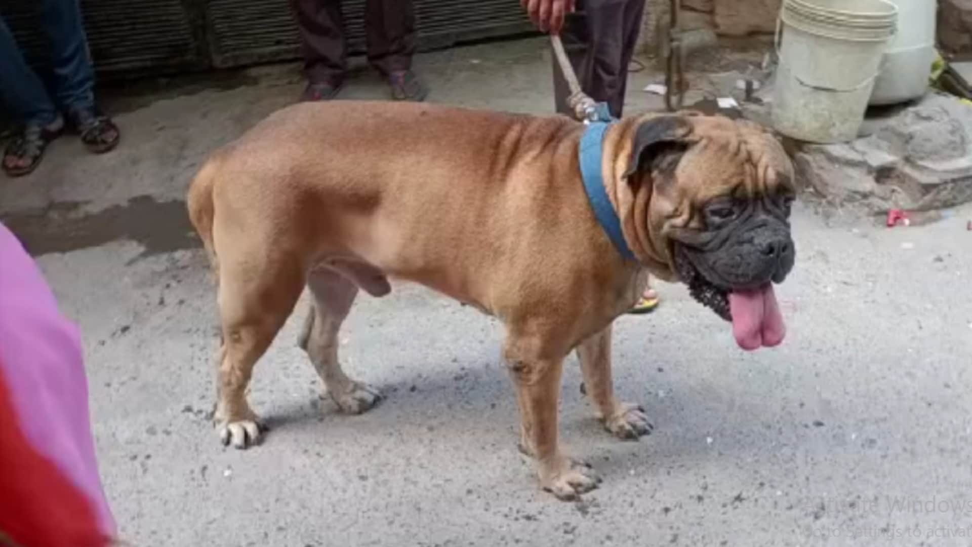 Delhi Double Murder Hi-tech security did not work There was an electronic lock on the main gate of the house