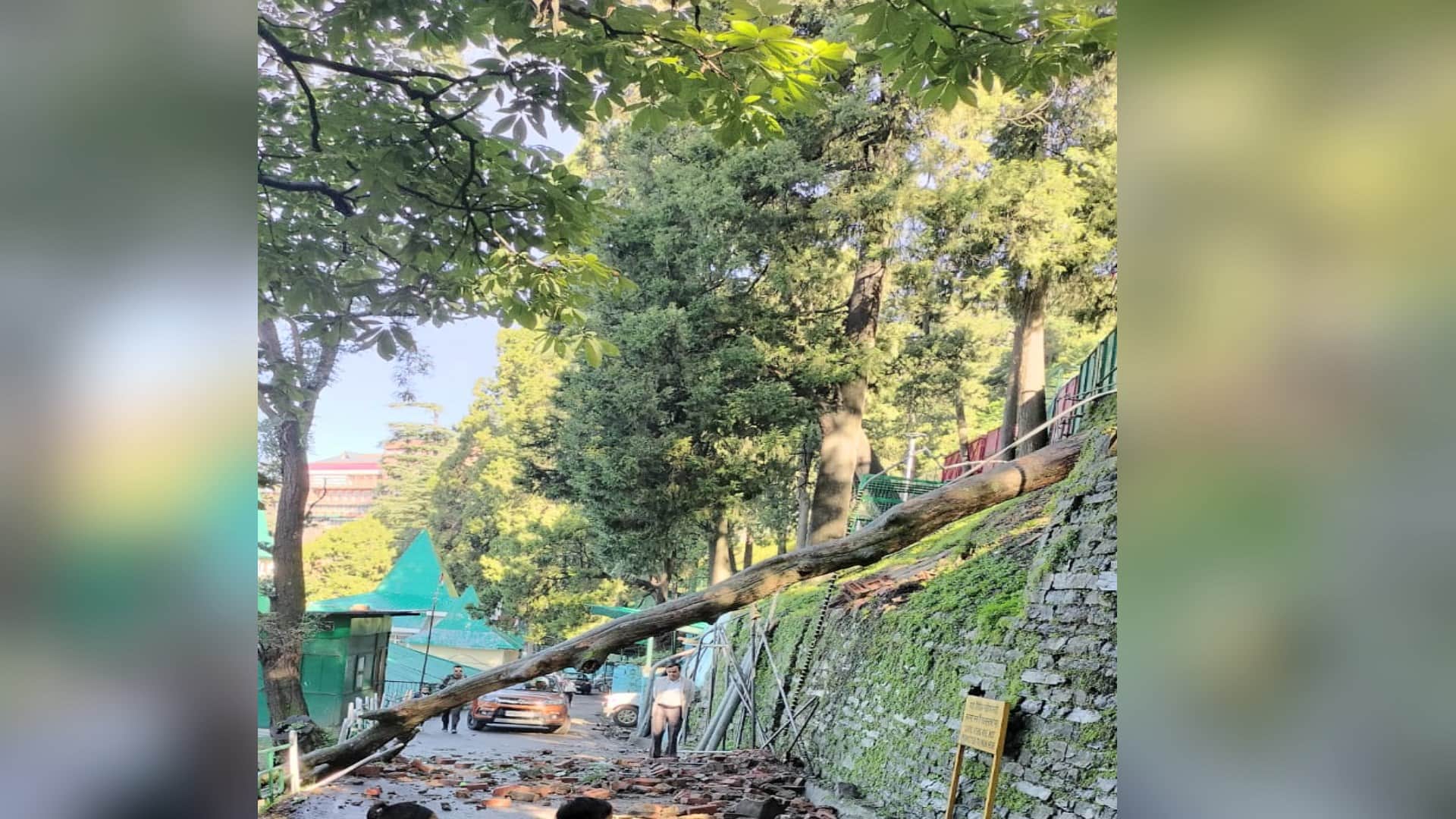 Himachal weather update, Heavy rain wreaked havoc, a dozen trees fell, vehicles buried in debris, see devastat