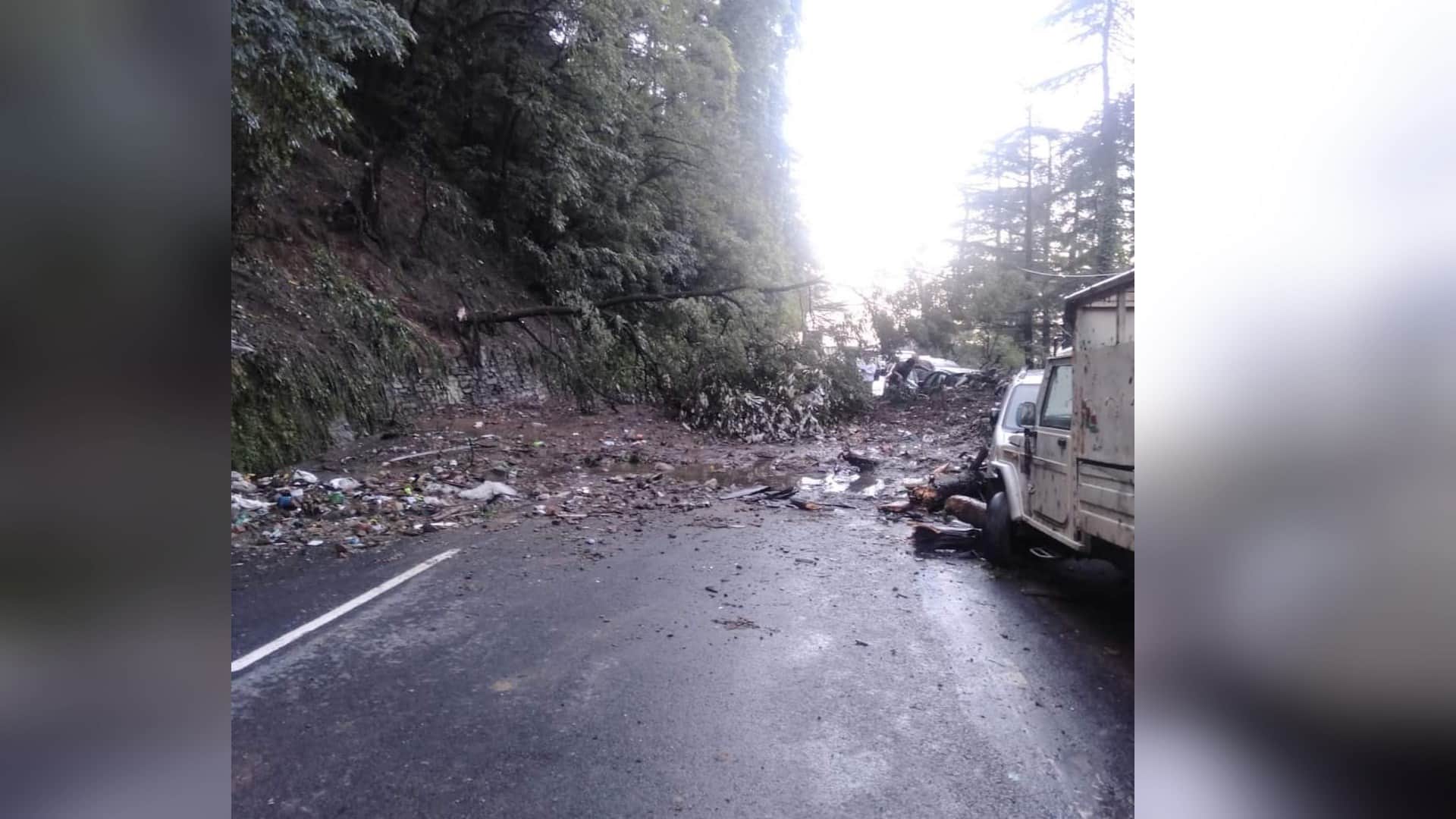 Himachal weather update, Heavy rain wreaked havoc, a dozen trees fell, vehicles buried in debris, see devastat