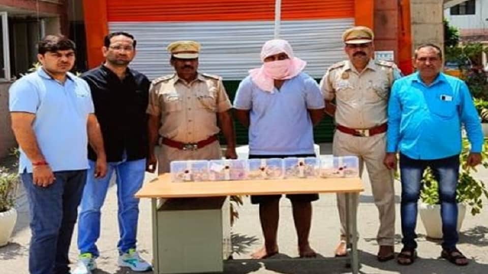 delhi police arrested the accused of killing two women in welcome area