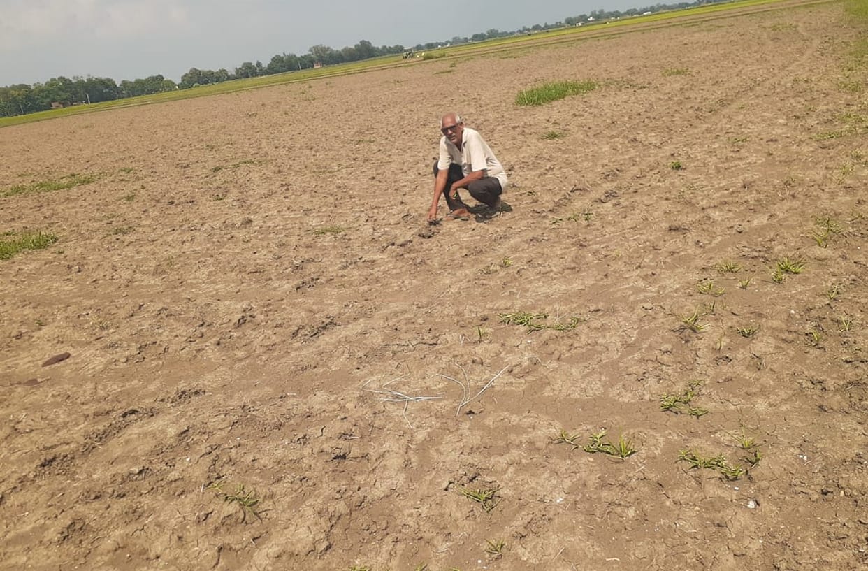 There is no water in the canals connected with Narayanpur Pump Canal
