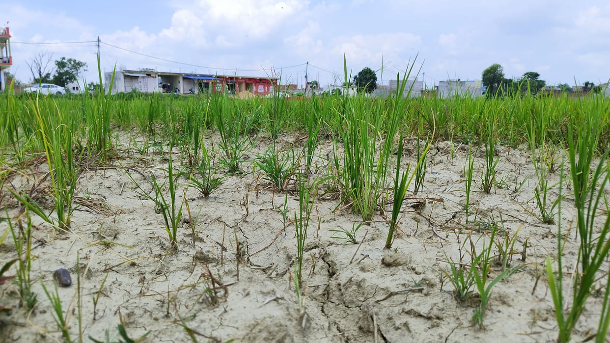 Drought situation in Sant Kabir nagar struggle to save crop