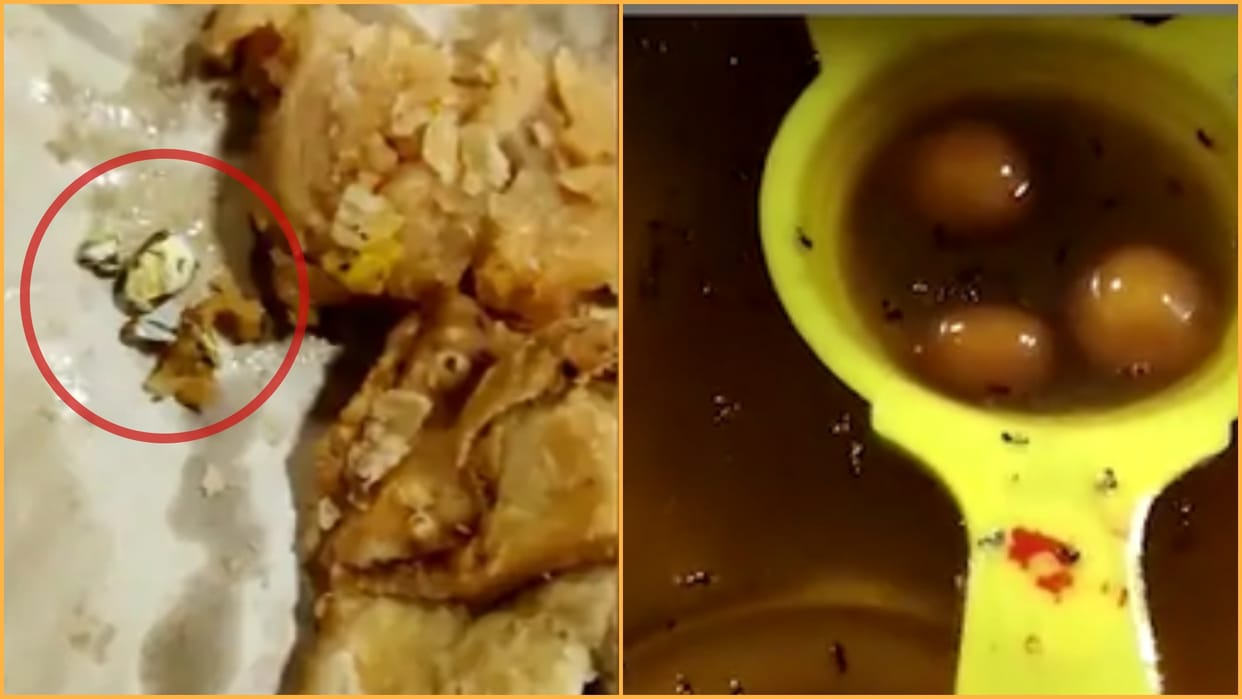 worm found in sweets of Rajasthan Government Secretariat canteen