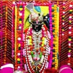 नाथद्वारा श्रीनाथजी का मंदिर