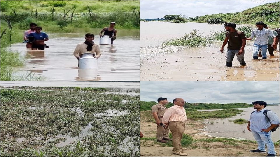 chambal river in rough form near danger mark bah agra news