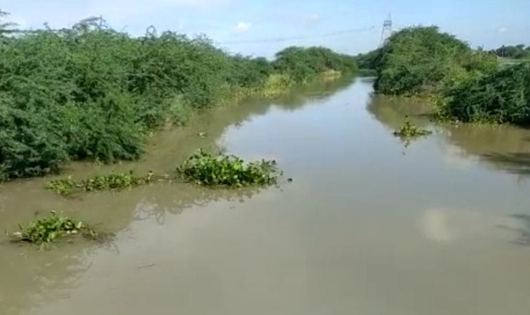 crop,river,etawah,etawah news,up news