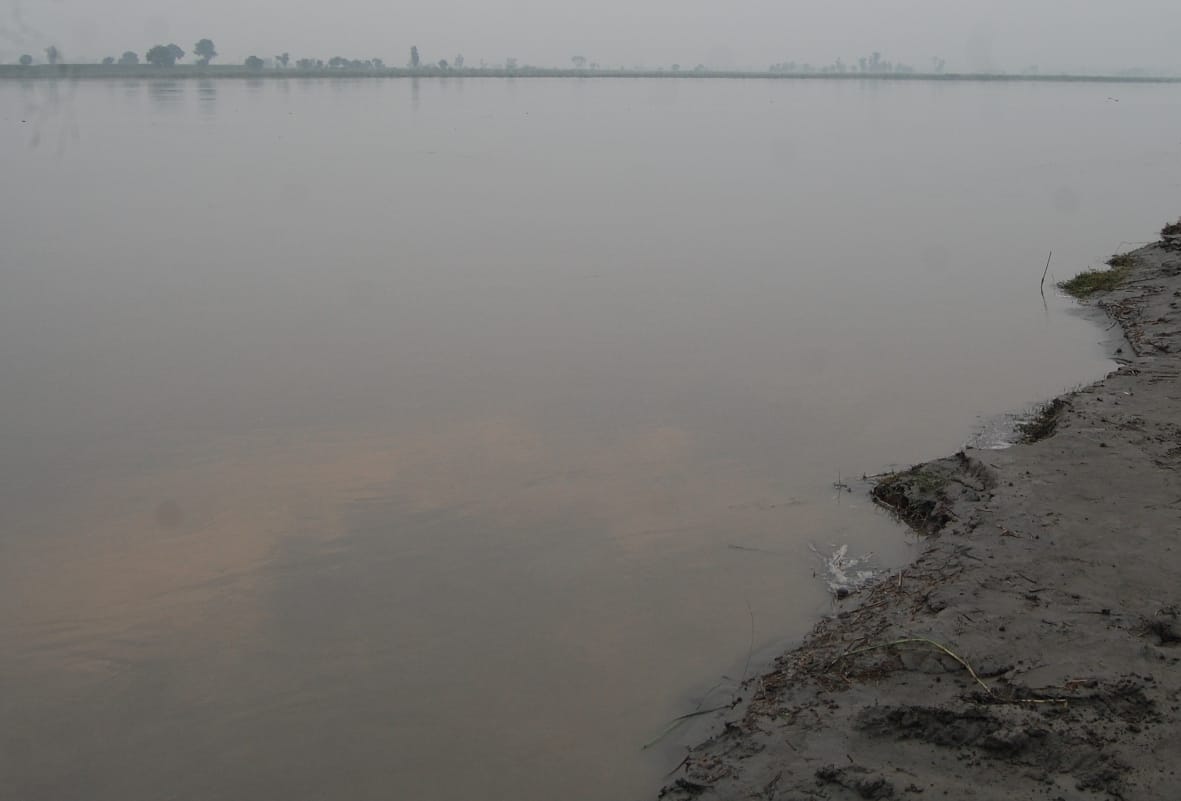 Yamuna's water level again reached above danger mark
