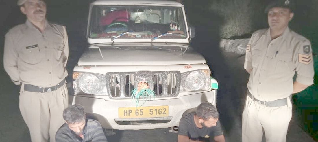 Police caught a jeep full of cedar wood in Banjar