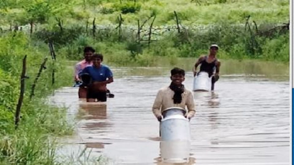 chambal river in rough form near danger mark bah agra news