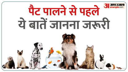 Pet Buying Guide Things To Consider Before Getting A Pet Know Details In Hindi