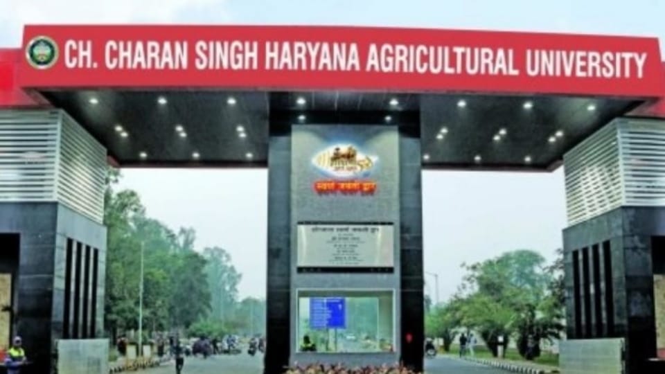 Haryana Agricultural University declared results of entrance examinations for admission to all courses