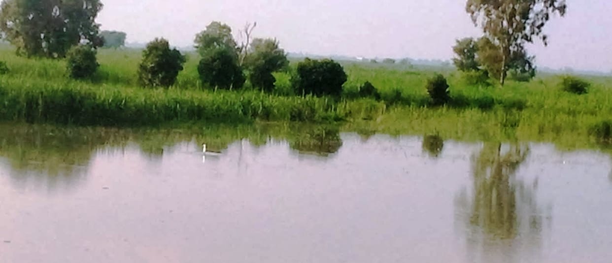 Ganga's water level rises, flood threat in 20 villages