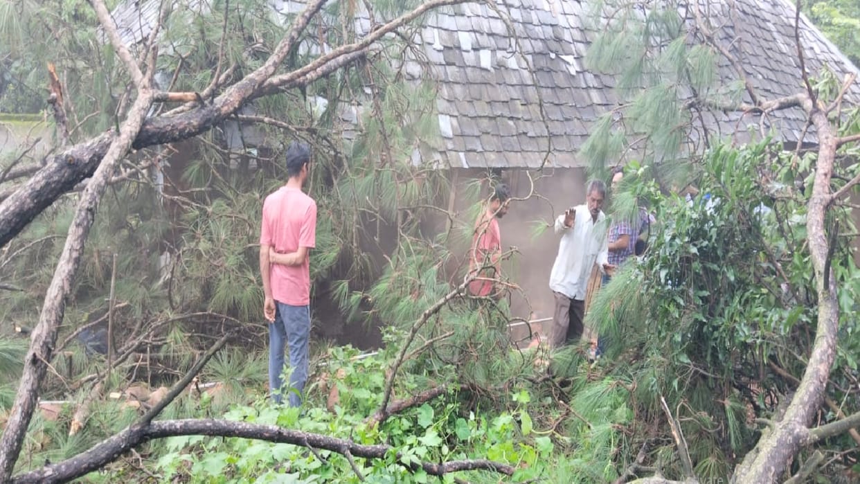 landslide himachal, Youth dies due to tree falling on house, road obstructed by landslide, 11 schools in Banja